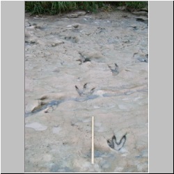 100_0726 (2009-27-07)m.JPG